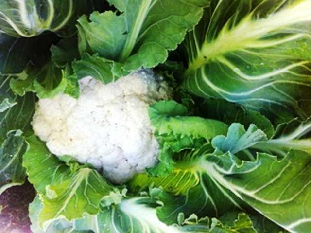 Cauliflower