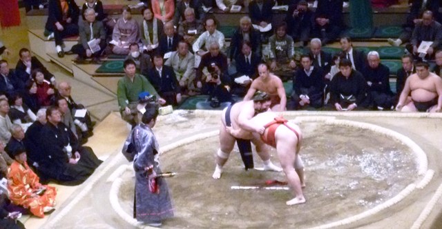 Sumo