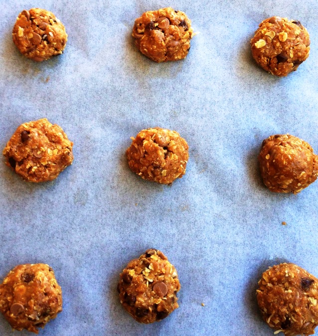 Oaty Choc Chip Dough