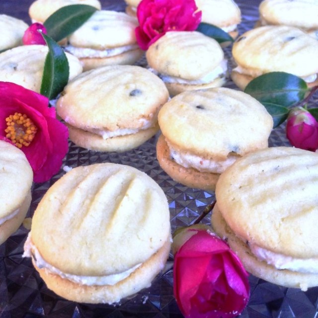 passionfruitmeltingmomentsfloral