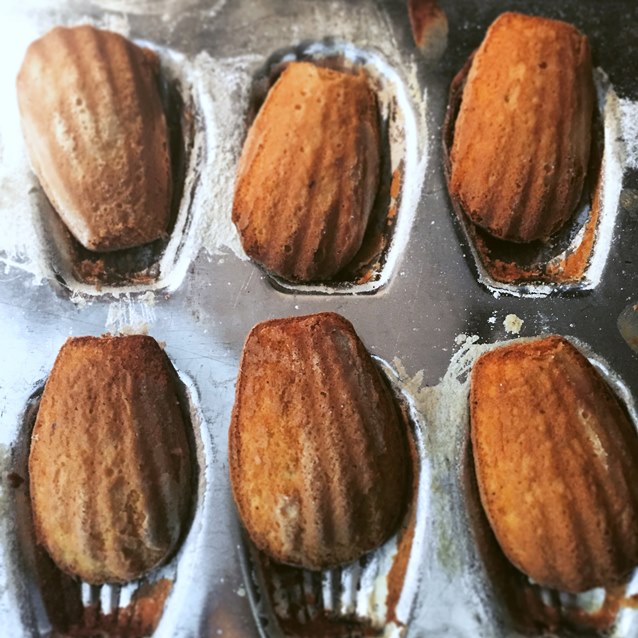 Madeleines