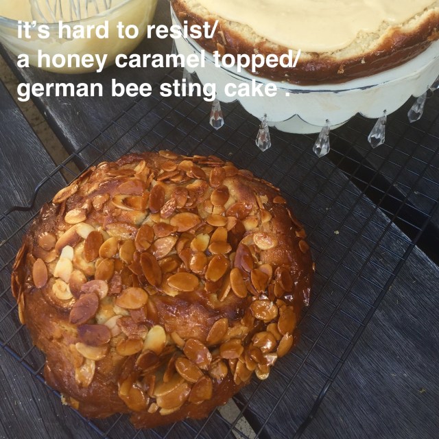German Bee Sting Cake